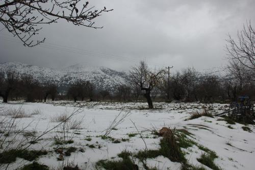 Το Vasilikata τον χειμώνα