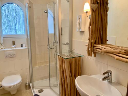 a bathroom with a shower and a sink and a toilet at Boutique Hotel Längenfelder Hof in Grainau