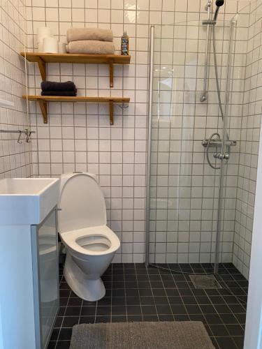 a bathroom with a shower and a toilet and a sink at Sköna Hönor Apartments in Visby
