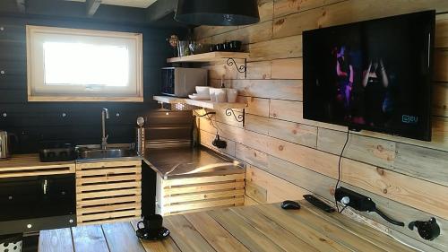 a living room with a tv on a wooden wall at Guest House Serena in Chornomorsk