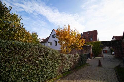 a white house with a hedge in front of a building at Adlerlodge Ferienhaus in Michelstadt