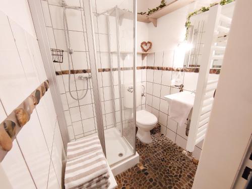 een badkamer met een douche en een toilet bij Ferienwohnung *Fenja* in Norddorf