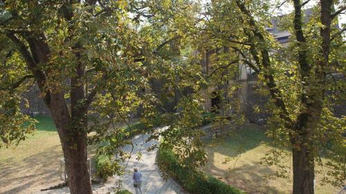 a man walking down a sidewalk next to trees at Ferienhaus Mutter Anna's Refugium in Stolpen
