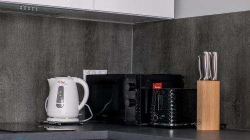 a kitchen counter with a white appliance on a counter top at OSADA Rokicie in Kluszkowce