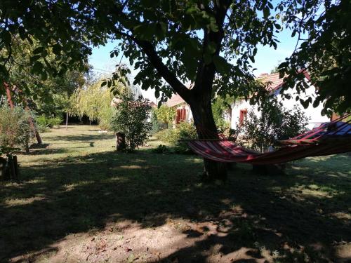 Un jardín fuera de Rendeki Vendégház, ÖNÁLLÓ ház