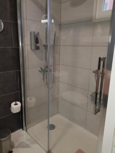 eine Dusche mit Glastür im Badezimmer in der Unterkunft Apartamento Puerto de la Cruz in Puerto de la Cruz