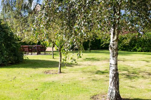 two trees in a park with a bench in the background at The Retreat, Clematis cottages, Stamford in Stamford