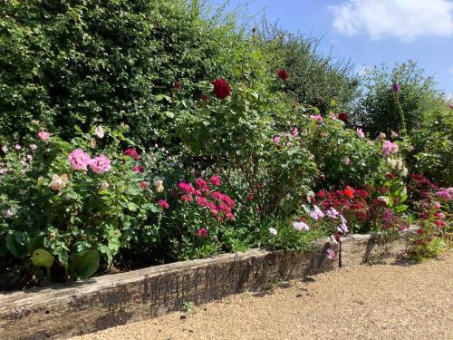a row of flowers in a garden at The Retreat, Clematis cottages, Stamford in Stamford