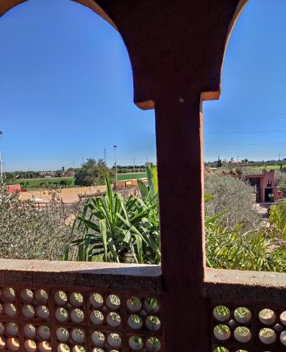 a view from a window of a field of plants at Equi Palace & SPA Near Aeroport in Berrechid
