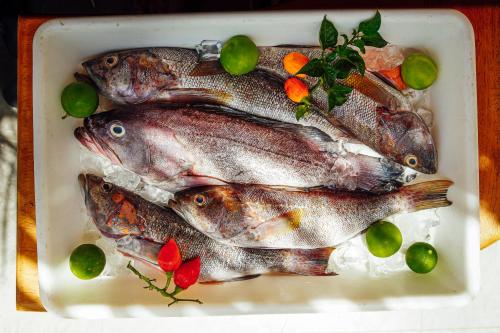 a tray of fish with vegetables on top of it at El Hueco Villas in Lobitos