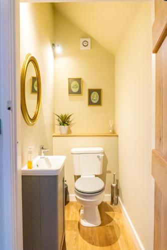 a bathroom with a white toilet and a sink at The Patches in Shrewsbury