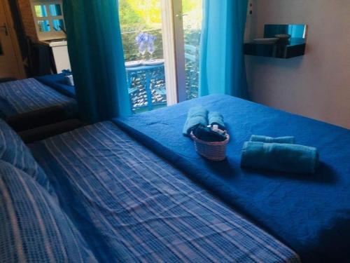 Welcome Traveller BLUE ROOM – Photos 3