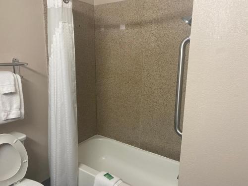 Gallery image of Holiday Inn Express Hotel and Suites Fort Stockton, an IHG Hotel in Fort Stockton
