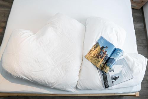 a pillow with a book and a magazine on it at Landhaus Martinus in Sölden