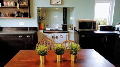 Dapur atau dapur kecil di The Old Sea Captain's House, Aberporth