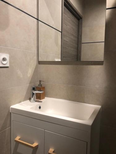 a bathroom with a white sink and a mirror at Appartement avec SPA-avril à sept-Camargue 4 personnes in Saint-Laurent-dʼAigouze