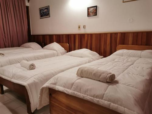 Postel nebo postele na pokoji v ubytování Hotel Portal del Sol