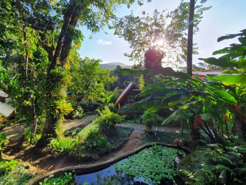 a garden with the sun shining through the trees at Pousada e Hostel Holandês in Abraão