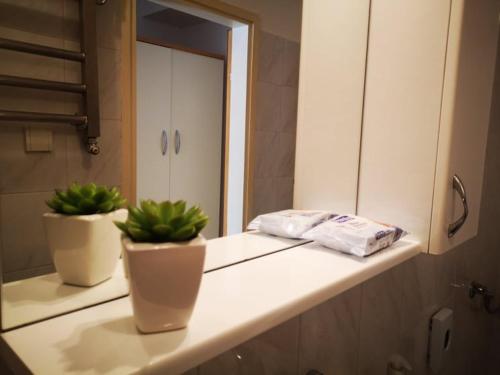 Postel nebo postele na pokoji v ubytování Apartmani Rita Studio