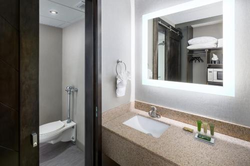 a bathroom with a sink and a mirror and a toilet at Bismarck Hotel and Conference Center in Bismarck