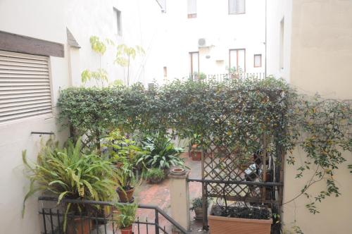 un giardino esterno con un mucchio di piante di B&Beatrice a Firenze