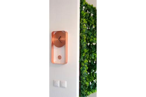 een stopcontact met groene planten aan de muur bij STUDIO COSY - HYPERCENTRE - CALME - WIFI - TV in Toulouse