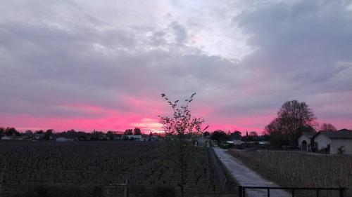 a sunset in a field with a fence and a tree at Appartement KEYSTONE BIBA in Libourne