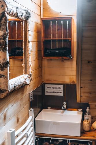 a bathroom with a sink and a mirror at Apartman Pustolov - Stara planina in Crni Vrh