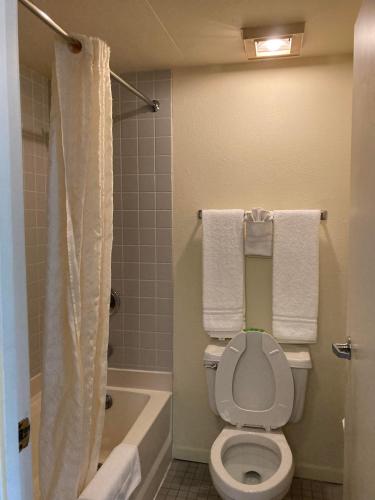 a bathroom with a toilet and a shower with towels at Americourt Hotel - Mountain City in Mountain City