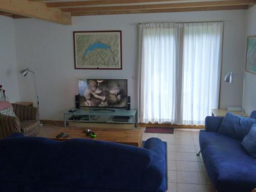 sala de estar con sofá azul y TV en Spacious chalet near the ski area, en Saint-Jean-dʼAulps