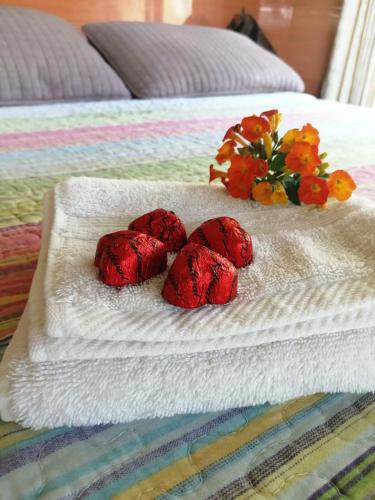 a group of red flowers on a white towel on a bed at Suite y Loft Casa Toría in San Isidro