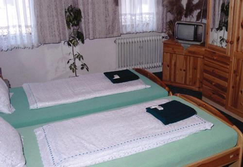 two twin beds in a room with a tv at Hotel Drei Könige in Neckarbischofsheim