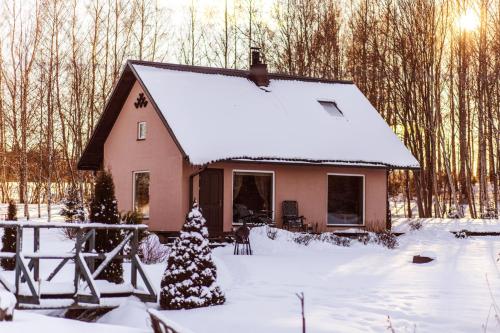 Burziņi durante el invierno