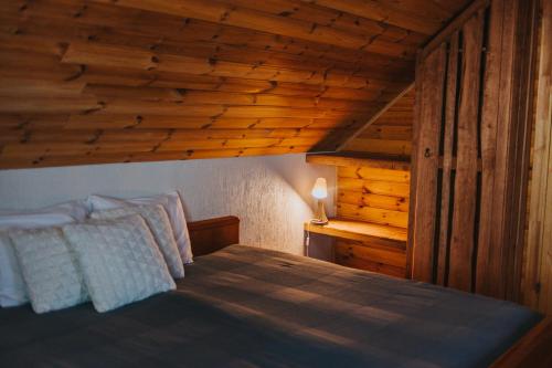 Una cama o camas en una habitación de Burziņi