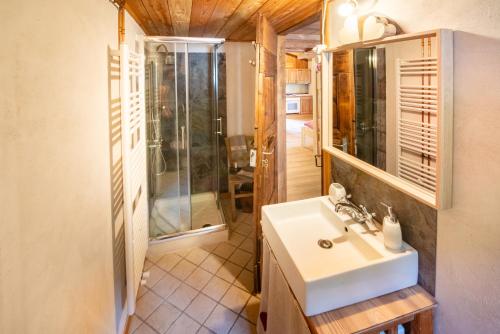 a bathroom with a sink and a shower at Mas Antico Molino in Livo