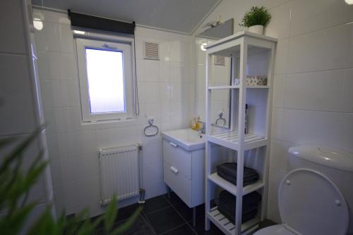 La salle de bains est pourvue d'un lavabo, de toilettes et d'une fenêtre. dans l'établissement chalet hensbroek, à Hensbroek