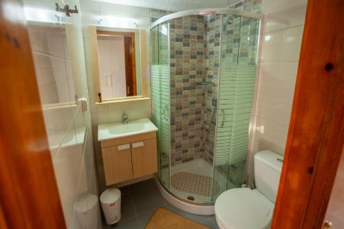 La salle de bains est pourvue d'une douche, de toilettes et d'un lavabo. dans l'établissement Kavousanos Apartments, à Istron