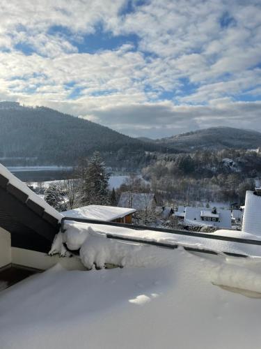 a snow covered roof with a view of a mountain at Zeit für Dich am Bergelchen, Winterberg in Winterberg