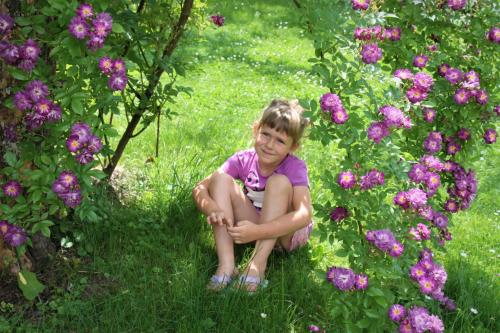 a young girl sitting in a field of flowers at Altes Gehöft am Lormanberg in Kirchberg an der Raab