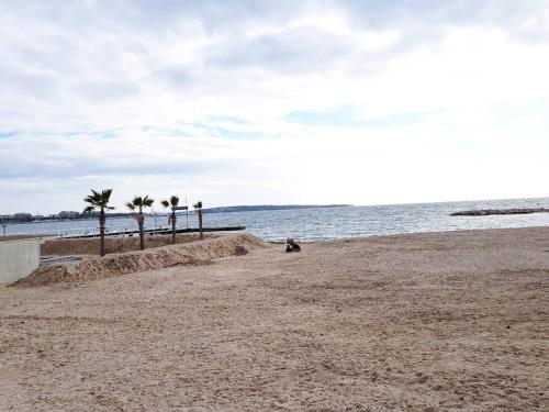 une personne assise sur une plage avec des palmiers dans l'établissement Bristol Park - parking - 5mn walk from Palais des Festivals, à Cannes