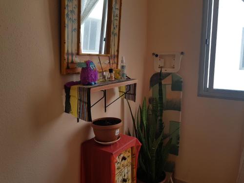 a room with a mirror and a plant on a table at laurainu in Puerto del Rosario