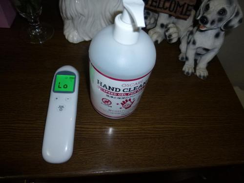 a bottle of hand cleanser next to a remote control at Home Yasuda in Otaru