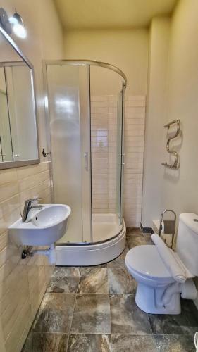 a bathroom with a shower and a toilet and a sink at Blue Bird Hostel in Riga Old Town in Rīga