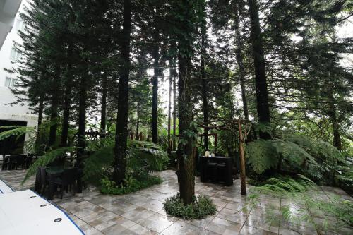 a patio with trees and tables and chairs at La Bella Boutique Hotel in Tagaytay