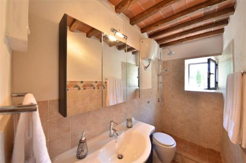 Un baño con lavabo, inodoro y espejo. en Capanna di Camporata, en Gaiole in Chianti