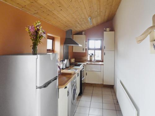 a kitchen with a refrigerator and a counter top at Cappacurry Lodge Ballinrobe in Ballinrobe