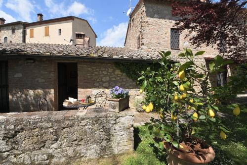 Granaio – Photos 2