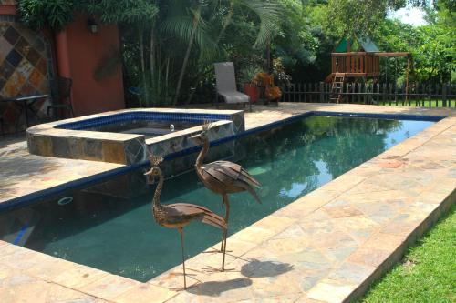 The swimming pool at or close to Selati 103 Guest Cottages
