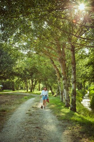 a woman walking her dog down a dirt road at Agriturismo Lunadoro in Monticchiello