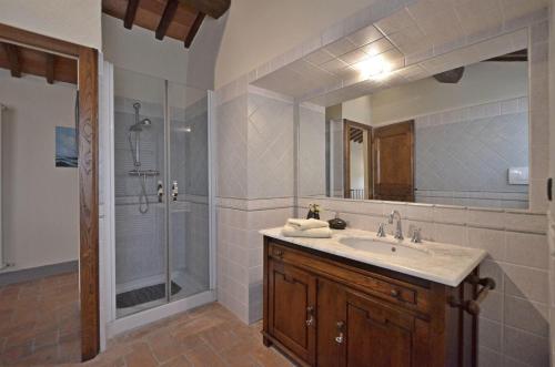 a bathroom with a sink and a shower at La Rana in Gaiole in Chianti